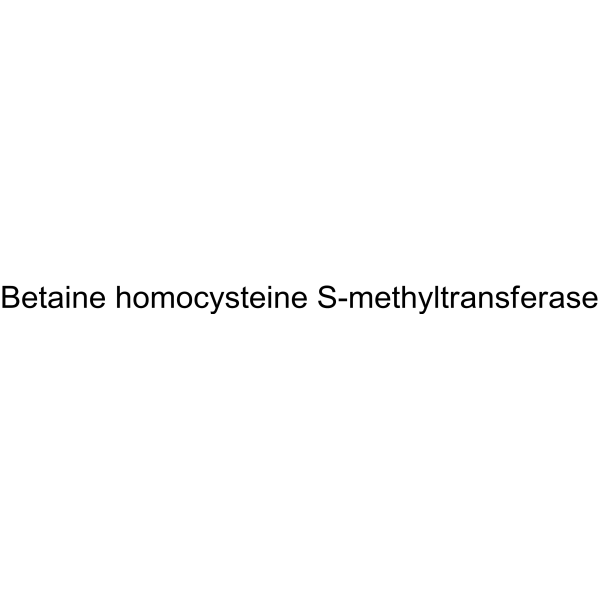 Betaine homocysteine S-methyltransferase 9029-78-1